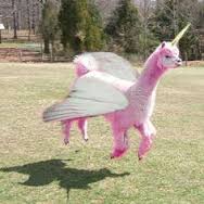 pink unicorn